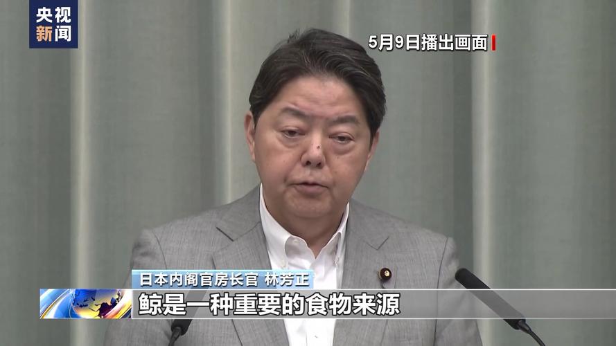 日本退出《全球禁止捕鲸公约》是出于政治目的还只是经济目的「反捕鲸纪录片」 太阳能产品