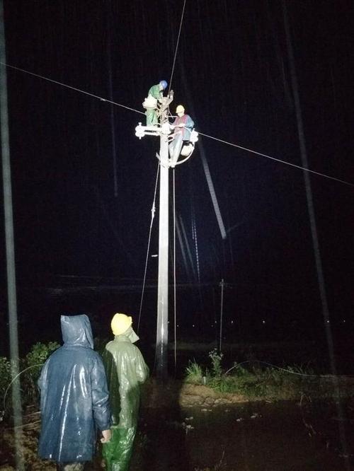 有谁听说过下雨打雷天，大蛇被雷击的事「村支书暴雨救人牺牲视频」 太阳能蓄电池